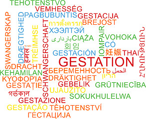 Image showing Gestation multilanguage wordcloud background concept