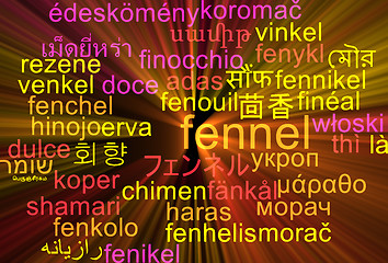 Image showing Fennel multilanguage wordcloud background concept glowing