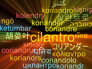 Image showing Cilantro multilanguage wordcloud background concept glowing