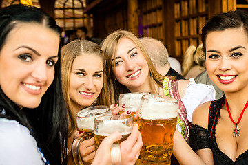 Image showing Girls drinking beer