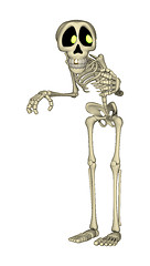 Image showing Skeleton