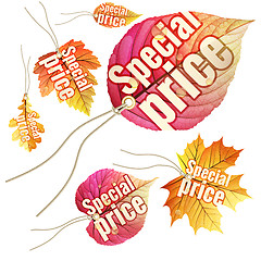 Image showing Set of Autumn Sale tags. EPS 10