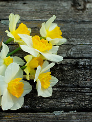 Image showing Daffodils