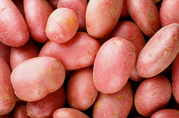 Image showing Red Potatoes Background