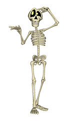 Image showing Skeleton