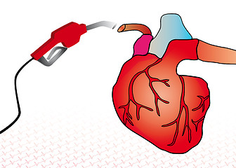 Image showing cardiac system