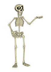 Image showing Skeleton