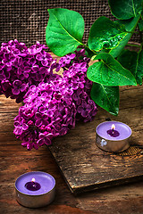 Image showing Bush may lilac and lighted candle