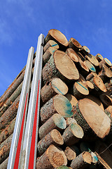 Image showing Logs Stacked Up on a Logging Truck Trailer with Blue Sky