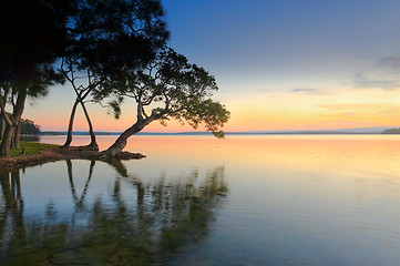 Image showing Sunset Dreaming