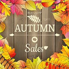 Image showing Autumn sale typography poster. EPS 10