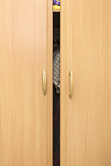 Image showing Wooden wardrobe