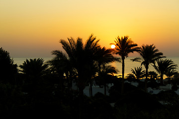 Image showing Sunrise, Red Sea, Egypt