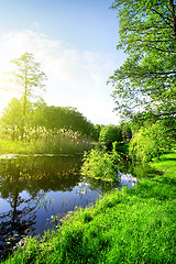 Image showing River and forest in spring