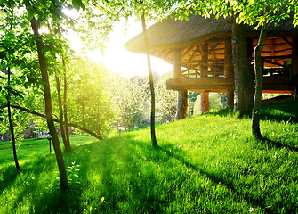 Image showing Gazebo among the trees