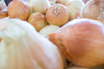 Image showing fresh onion on farm display