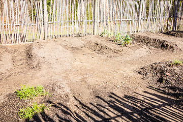 Image showing Small vegetable garden with risen beds in the fenced backyard