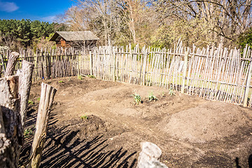 Image showing Small vegetable garden with risen beds in the fenced backyard