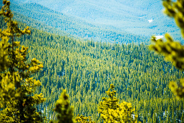 Image showing colorado rocky mountains near monarch pass