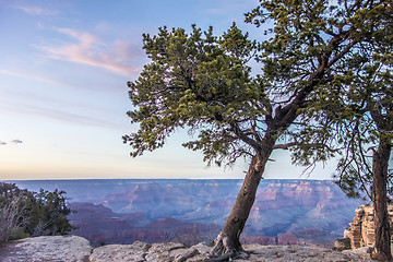 Image showing scenery around grand canyon in arizona