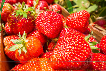 Image showing strawberries in natural background