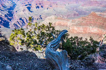 Image showing scenery around grand canyon in arizona