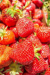 Image showing strawberries in natural background