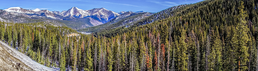 Image showing colorado rocky mountains near monarch pass