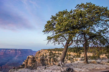 Image showing scenery around grand canyon in arizona