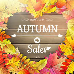 Image showing Autumn sale typography poster. EPS 10