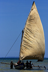 Image showing people in the sea of madagascar