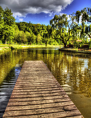 Image showing Forest lake