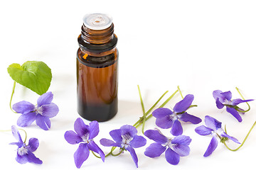 Image showing Bach flower remedies of violets on white background