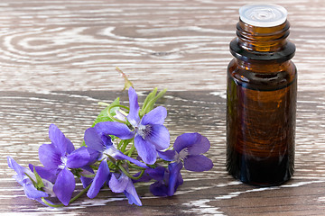 Image showing Bach flower remedies of violets