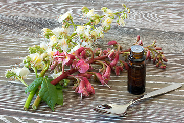 Image showing Bach flower remedies of red and white chestnut