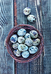 Image showing quail eggs