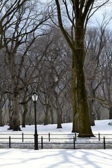 Image showing Lamppost in the Snow