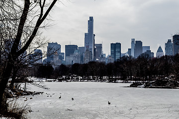 Image showing Midtown in winter from Central Park