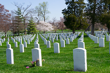 Image showing Arlington Cemetery graves