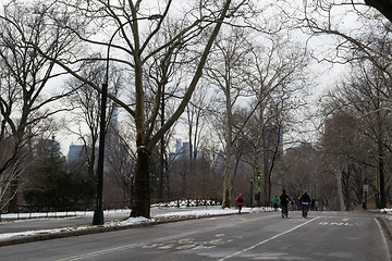 Image showing Running in central park