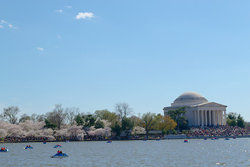 Image showing Thomas Jefferson Memorial during the Cherry blossom festival