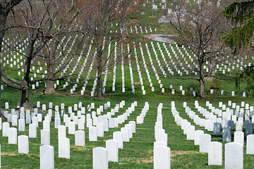 Image showing White gravestones