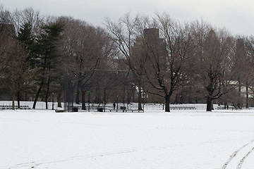 Image showing Baseball in Central Park