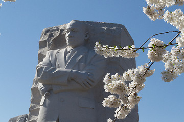 Image showing MLK white flowers