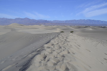 Image showing Dunes in death valley