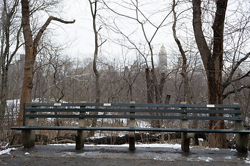 Image showing Bench in Central park