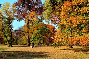 Image showing Autumn colors in Central Park
