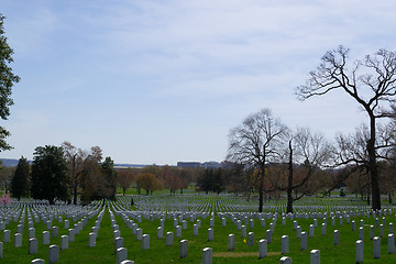 Image showing Blue sky over the Arlington Cemetery 