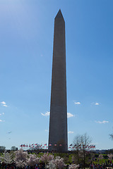 Image showing Washington Memorial Ovelisk
