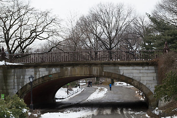 Image showing Winterdale arch in Central Park